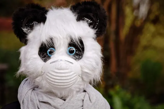 9 Казино Поддръжка